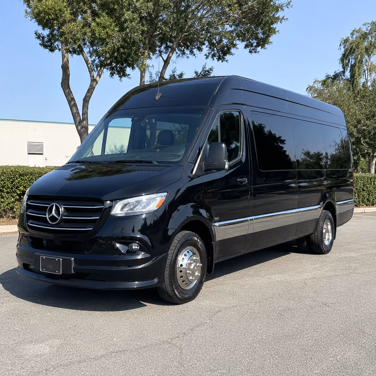 14 Passenger Sprinter Limo